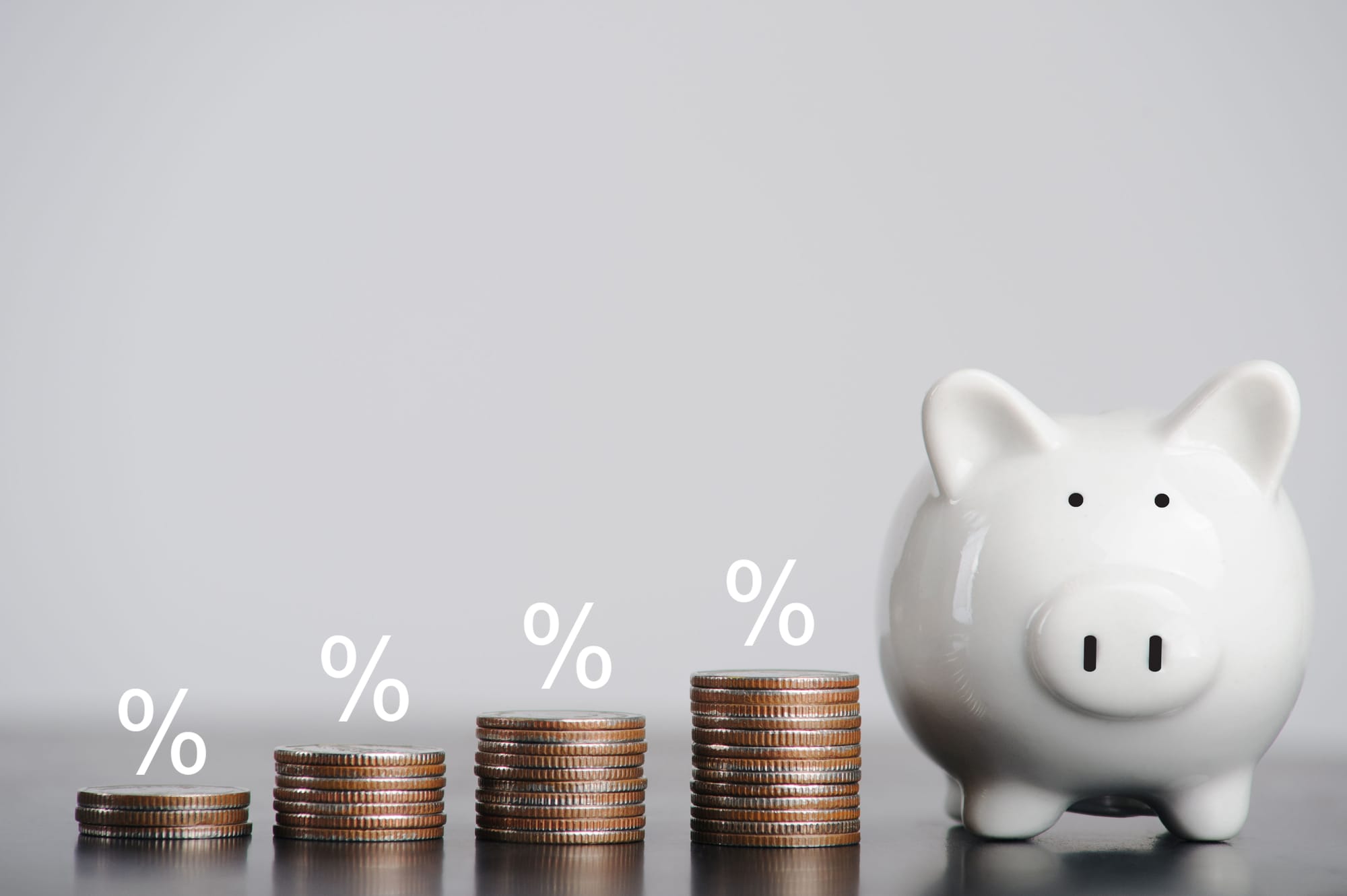 What should a disciplined investor do